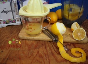 Easiest Lemon Bars: Process peel in blender, w/juice and sugar