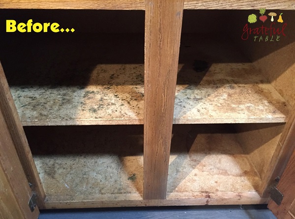 Particle Board Shelving Needs Redo