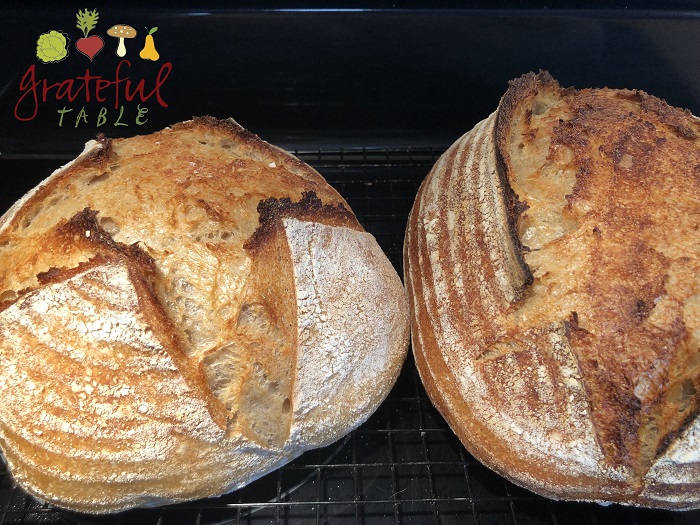 Artisan Bread Wit Ears! Open Crumb Too- Yumm
