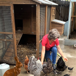 One Kind of Bunny (Mostly Just Chicks)