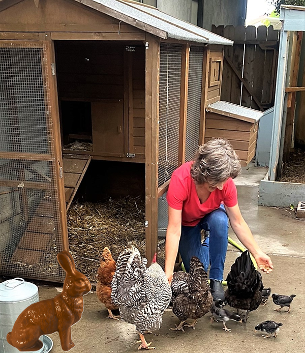 One Kind of Bunny (Mostly Just Chicks)